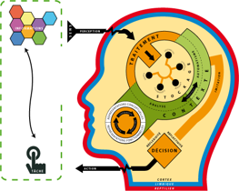 Brain bootcamp